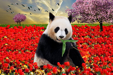 panda bear surrounded by rose flowers thumbnail