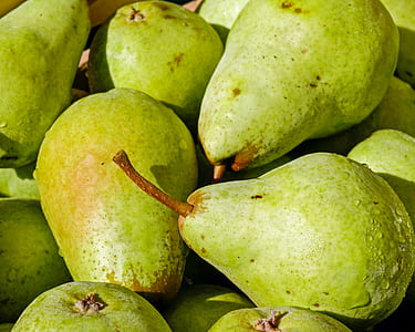 bunch of green guava fruits thumbnail