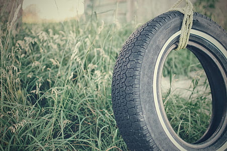Black Car Tire Tie on Brown Rope Near to Green Plant during Daytime thumbnail