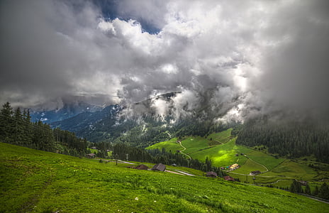 landscape photo of grass field thumbnail