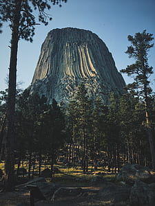 landscape photography of mountain and trees thumbnail