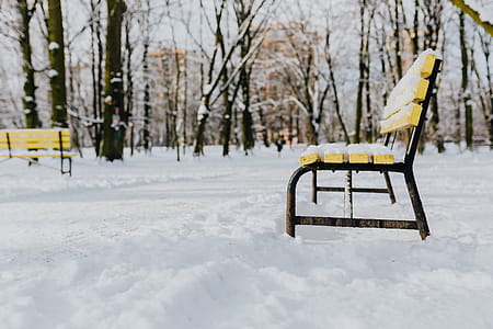 Wintery Park thumbnail