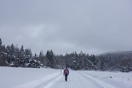 person walking on white snow covered road taken at daytime thumbnail