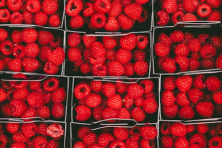 raspberries in containers thumbnail