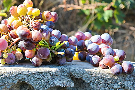 red grapes on pavement thumbnail