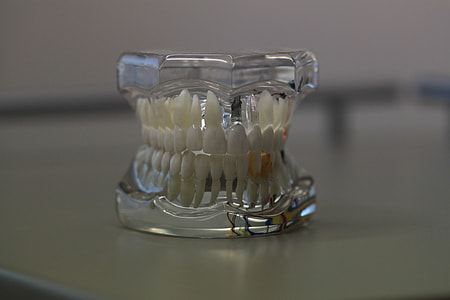 clear glass mouth paperweight thumbnail