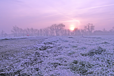 photographed of green grass coated by snow thumbnail