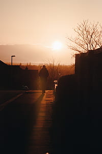 silhouette of walking person on road thumbnail