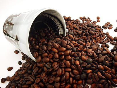 pile of coffee grains thumbnail
