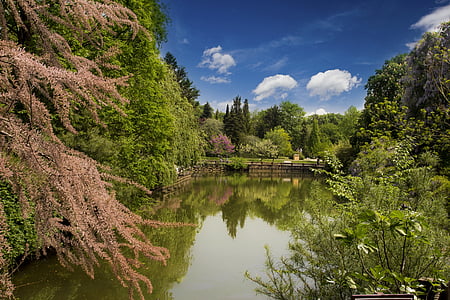 calm body of water surrounded by trees thumbnail