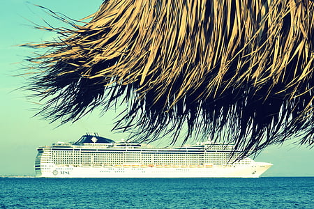 beach, blue, cruise, dry leaves, exotic thumbnail