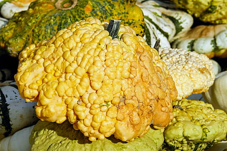vegetables thumbnail