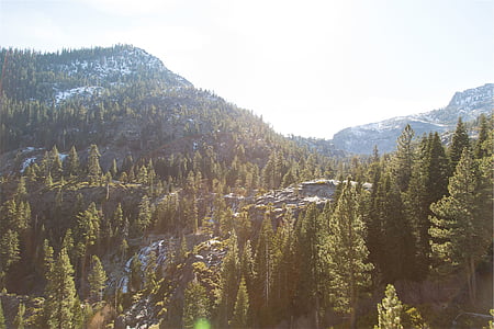 birds eye view of mountains and trees thumbnail