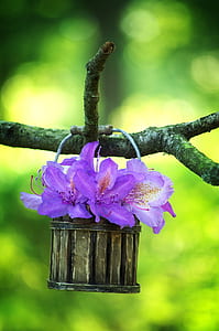 purple azalea flower inside bucket hanging on branch thumbnail