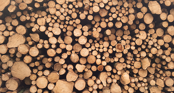 pile of wood logs thumbnail