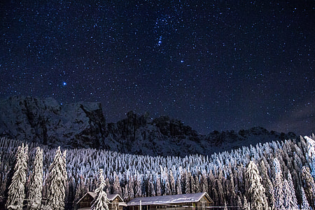 brown wooden house in the forest during starry night sky thumbnail