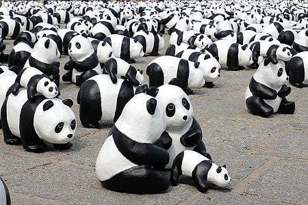 black and white panda decors thumbnail