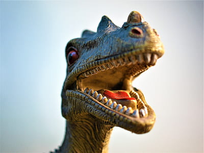 selective focus photography of carnivorous dinosaur thumbnail