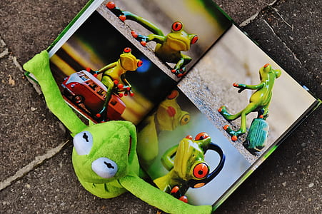 Kermit the frog plush toy with book thumbnail