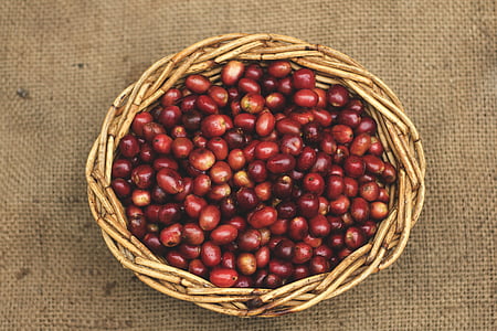 wicker basket full of red berries thumbnail