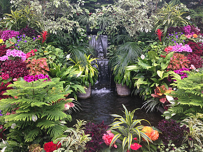 assorted flowers near outdoor fountain thumbnail