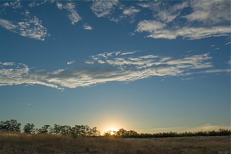 landscape photo of trees during golden hour thumbnail
