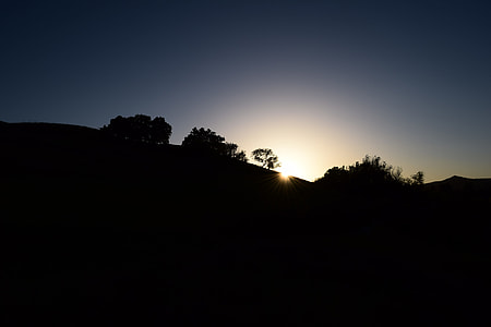 scenery of trees on mountain thumbnail