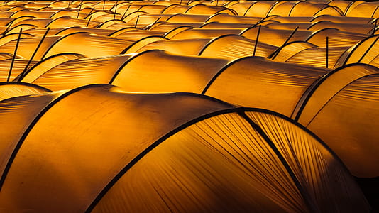 yellow and black tent lot thumbnail