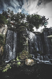 trees above waterfalls low angle photo thumbnail