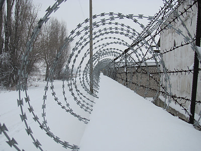 gray metal barb wire thumbnail