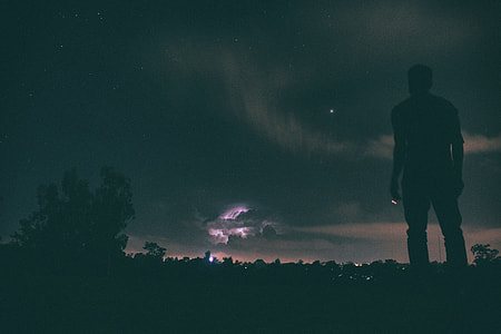 silhouette of a person standing near tree thumbnail