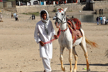 man walking while holding horse near body of water thumbnail