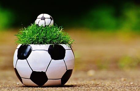 soccer-themed plant pot in shallow photography thumbnail