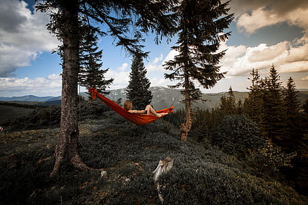 red hammock in the middle of trees thumbnail