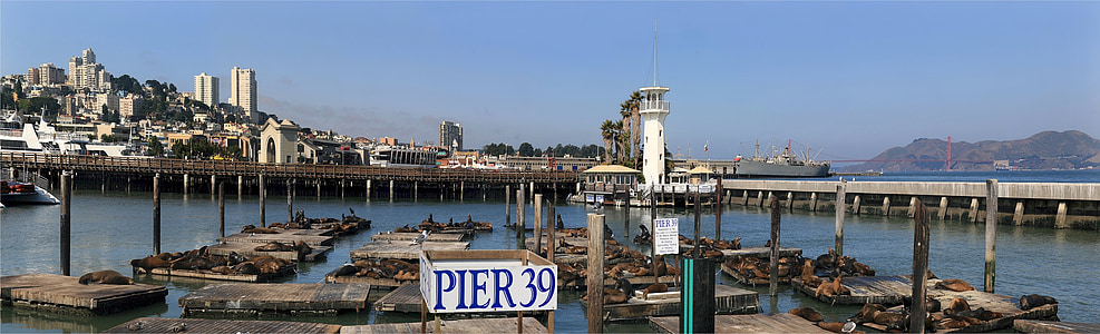 pier 36 signage during daytime thumbnail