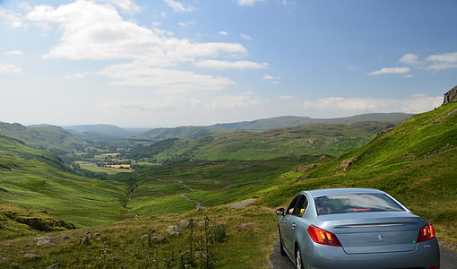 gray Peugeot sedan surrounded by grass thumbnail