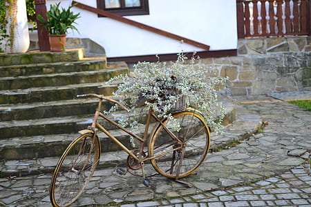 gold-colored bicycle plant pot outdoor during daytime thumbnail