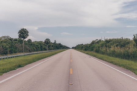 gray concrete road beside green grass thumbnail