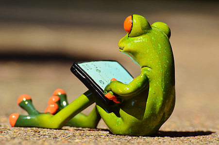 green frog using black smartphone thumbnail