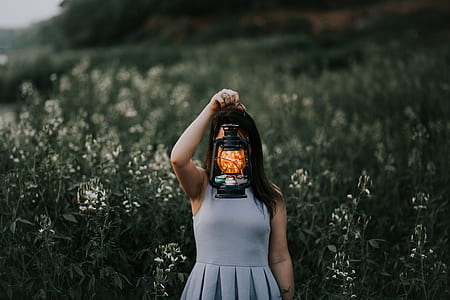 shallow focus photography of woman standing near white flower field holding lantern thumbnail
