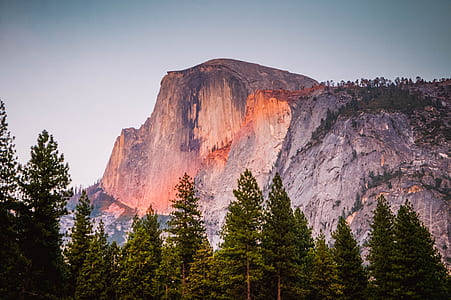 green forest near mountain range thumbnail