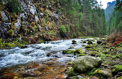 body of water between stones and trees thumbnail