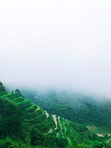 Green Rice Terraces With Foggy Weather thumbnail