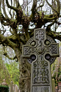photography of cross tombstone near bare tree thumbnail