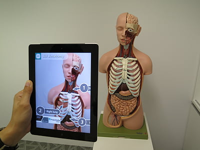 person taking photo of human anatomy using black iPad thumbnail