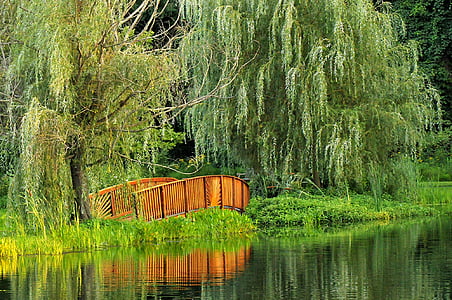 photo of brown bridge near trees and body of water thumbnail