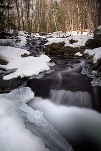 Water Flowing Through Snow Covered Forest thumbnail