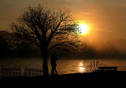 couple silhouette under a tree thumbnail