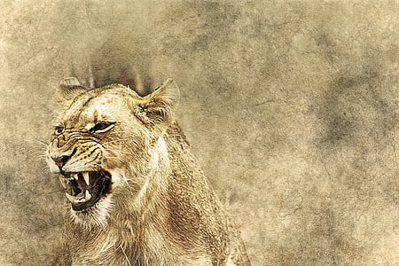 lion illustration thumbnail
