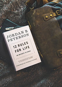12 Rules for Life by Jordan B. Peterson Book Brown Textile thumbnail